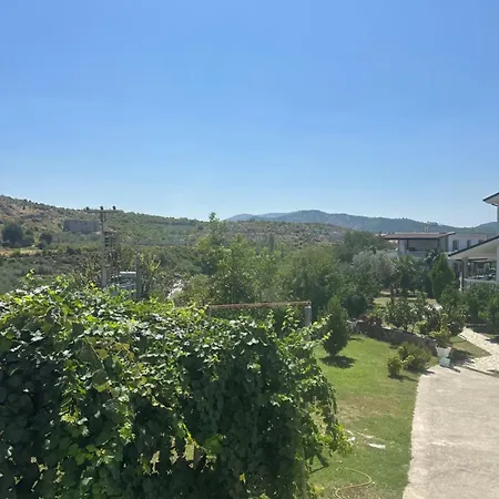 Royals, Mesi Bridge *