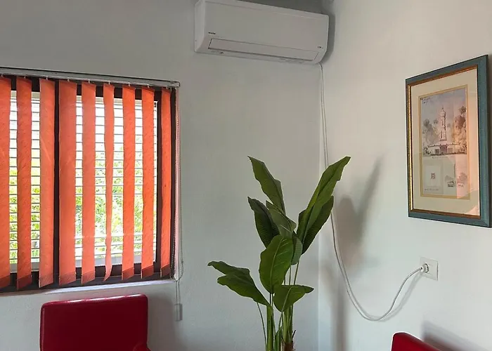 Royals, Mesi Bridge Szkodra